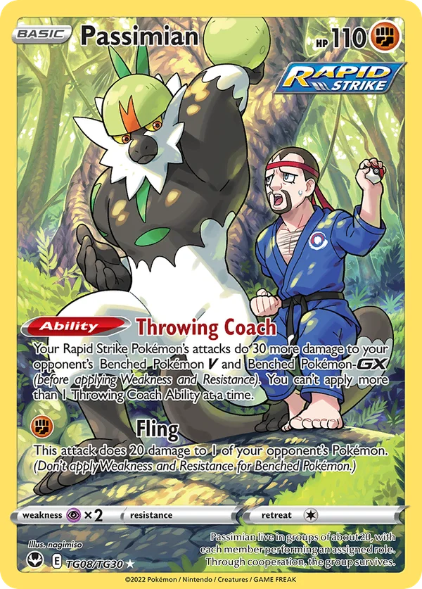 Passimian – TG08/TG30 – Trainer Gallery Rare Holo